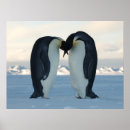Suche nach penguin liebe poster Schnee