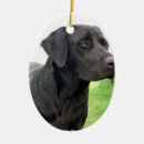 Suche nach schwarzer labrador ornamente Hund