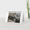 Suche nach lustige schildkröte karten Witz