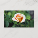 Suche nach orange ros visitenkarten Florist