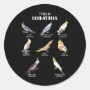 Recherche de perroquet drôle autocollants Cocktail
