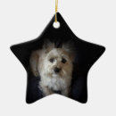 Recherche de terrier de cairn ornements Chien