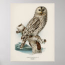 Recherche de illustration hibou posters Rétro