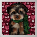 Recherche de poo posters Yorkie