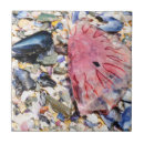 Recherche de méduses carreaux Plage