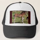Recherche de poulain casquettes Cheval