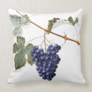 Recherche de usines coussins Plante