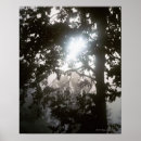 Suche nach laubs poster Blatt