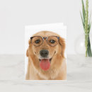 Suche nach dosen dosen dosen karten Hund