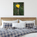 Suche nach aspen leinwandbilder Natur