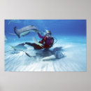 Recherche de stingrays posters Animal