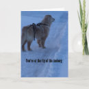 Suche nach eisberg karten Ermutigung