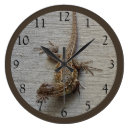 Recherche de lézard horloges Reptile