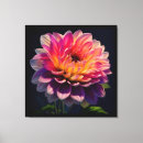 Suche nach dahlien leinwandbilder Rosa