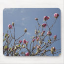 Suche nach rosa magnolien mousepads Quelle