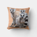 Suche nach lemuren kissen Madagaskar