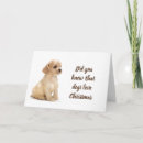 Suche nach spanier karten Cocker spaniel