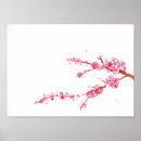 Recherche de cherry poster Blossoms