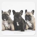 Suche nach unschuld aufkleber Tier