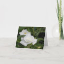 Recherche de pureté Rose