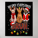 Suche nach sphynx katze poster Lustig