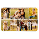 Suche nach familiennamen magnete Family