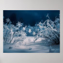 Suche nach eis pflanze poster Winter