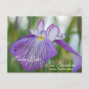 Recherche de iris cartes postales Floral