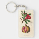 Recherche de illustrations vintages de fruit porteclés Nature