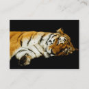Recherche de tigre blanc cartes visite Noir