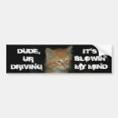 Suche nach lustige tiere autoaufkleber Kitty