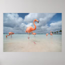 Recherche de flamingo posters Oiseau