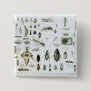 Suche nach wanzen buttons Fliegen