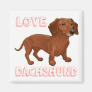 Suche nach rote dackel magnete Welpen