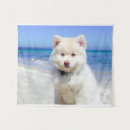 Suche nach hunde spitz kunst Haustier