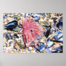 Suche nach jellyfish kunst Ozean