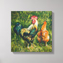 Recherche de coq toiles Poulets