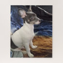 Suche nach kleine hunde puzzle Welpe