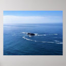 Suche nach otter poster Natur