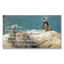 Suche nach leguan visitenkarten Natur