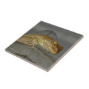 Recherche de grenouilles carreaux Crapaud