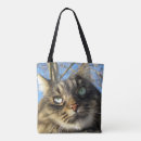 Recherche de chat de ragondin du maine sacs Minou