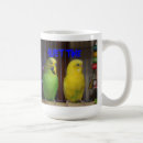 Recherche de perruche tasses Jaune