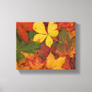 Recherche de saison impressions sur toile Feuille