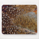 Recherche de faisan tapis souris Faune