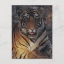 Suche nach bengalischer tiger postkarten Im freien