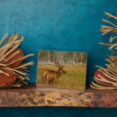 Recherche de wapiti plaques Élan