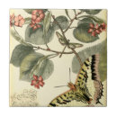 Suche nach libellen fliesen Botanisch