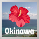 Suche nach okinawa poster Japan