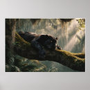 Suche nach großkatze poster Wald